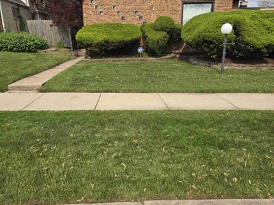 Lawn care service in Chicago, 60617
