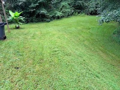 Lawn care service in Douglasville, 30134