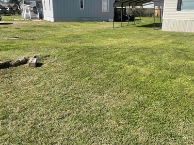 Lawn care service in Willis, 77318