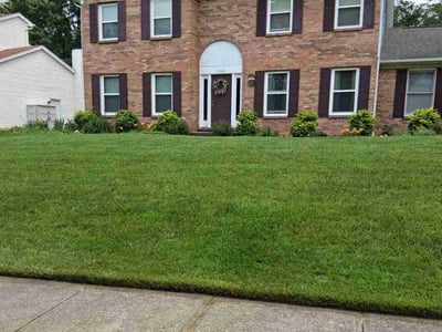 Lawn care service in Florence, 41042