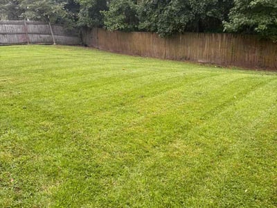 Lawn care service in Summerville, 29485