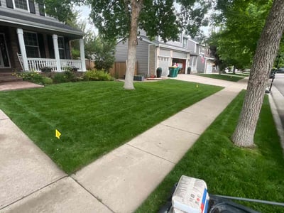 Lawn care service in Littleton, 80123