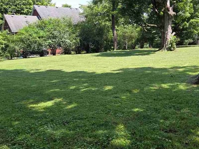Lawn care service in Smyrna, 37167