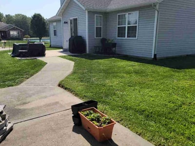 Lawn care service in Saint Jacob, 62281