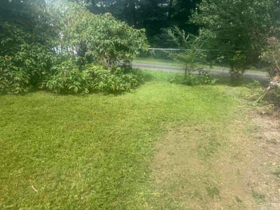 Lawn care service in Midlothian, 23114