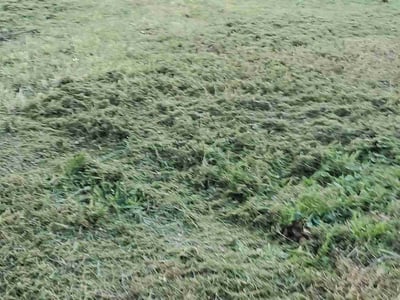 Lawn care service in Chester, 23831