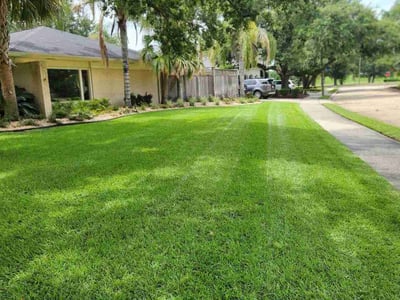 Lawn care service in New Orleans, 70122