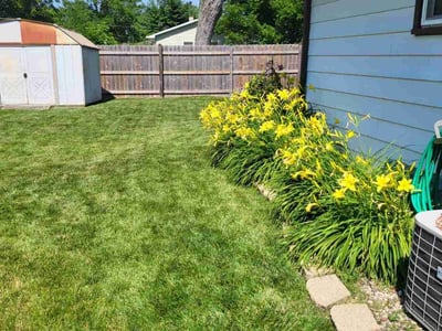 Lawn care service in Racine, 53402