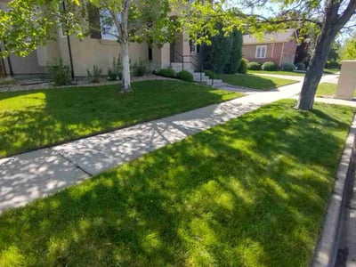 Lawn care service in Denver, 80230