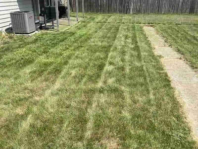 Lawn care service in Romulus, 48174