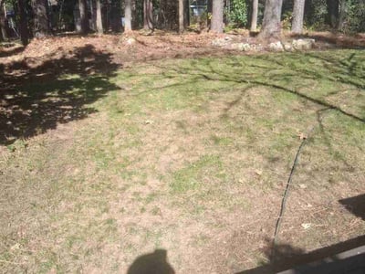 Lawn care service in Raleigh, 27606