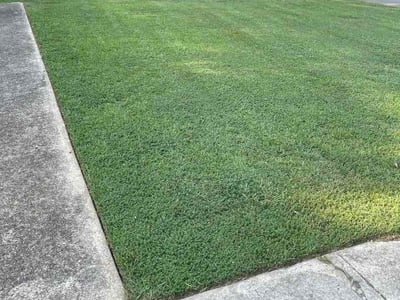 Lawn care service in Columbia, 29212