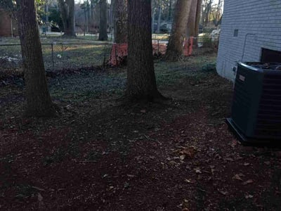 Lawn care service in , 