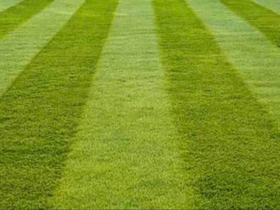Lawn care service in Pontiac, 48340