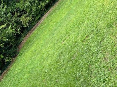 Lawn care service in Greensboro, 27401
