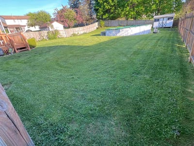 Lawn care service in Latham, 12110