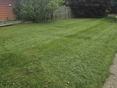 Lawn care service in Easton, 18040