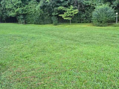 Lawn care service in Greenville, 27858
