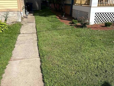 Lawn care service in New Haven, 06511