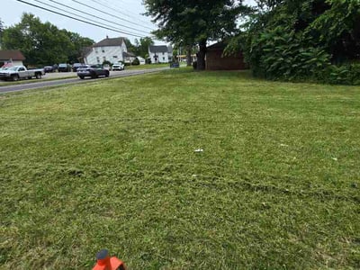 Lawn care service in Niles, 44446