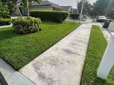 Lawn care service in Coconut Creek, 33066