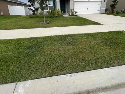 Lawn care service in Bartow, 33830