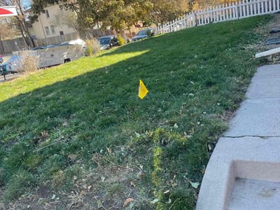 Lawn care service in , 