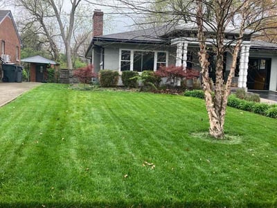 Lawn care service in Lexington, 40503