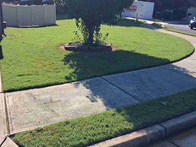Lawn care service in Fairburn, 30213