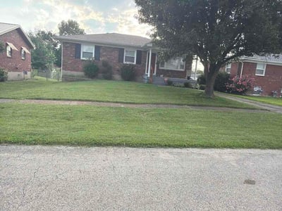 Lawn care service in Louisville, 40229