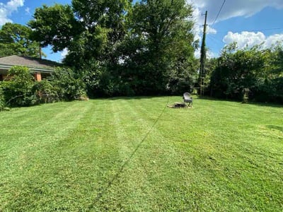 Lawn care service in Nashville, 37214