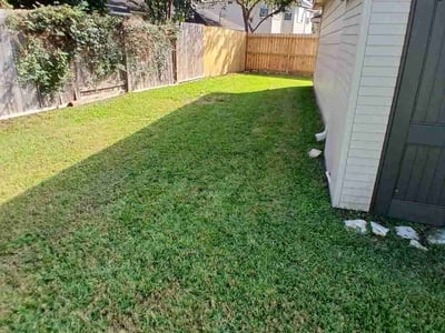 Lawn care service in Sugar Land, 77479