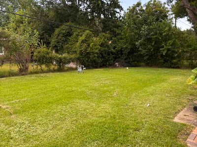 Lawn care service in Texas City, 77590