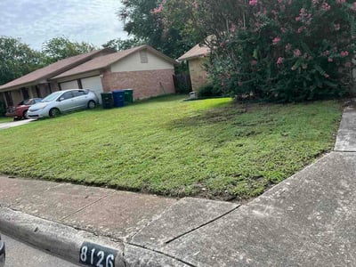 Lawn care service in San Antonio, 78254