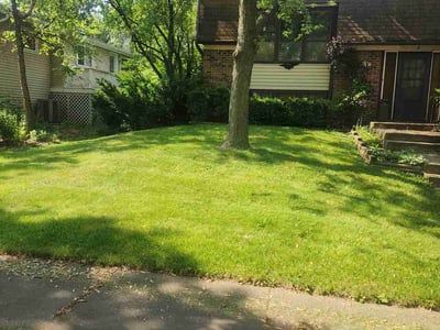 Lawn care service in Bolingbrook, 60440