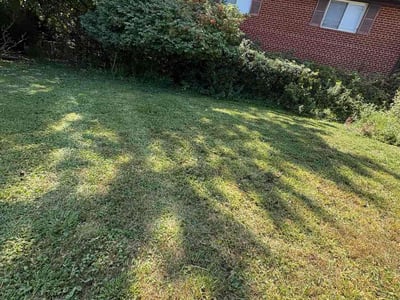 Lawn care service in Rockville, 20853