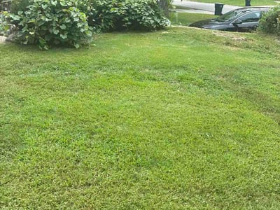 Lawn care service in Kansas City, 64133