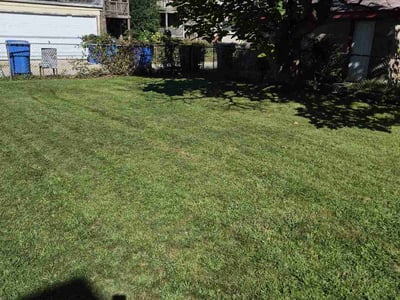 Lawn care service in Chicago, 60619