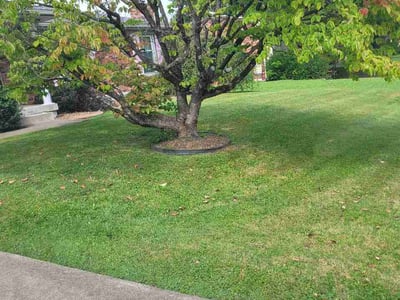 Lawn care service in Louisville, 40216