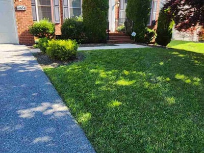 Lawn care service in Laurel, 20707