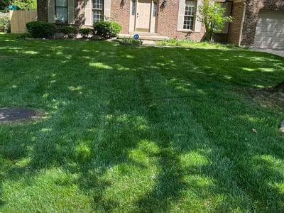 Lawn care service in West Chester Township, 45241