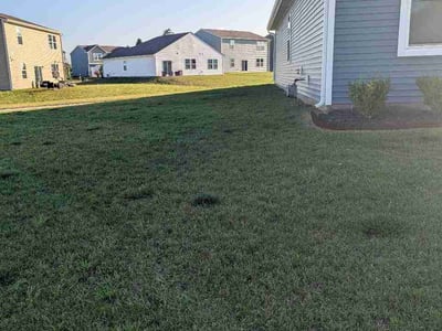 Lawn care service in Indianapolis, 46239