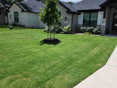 Lawn care service in Temple, 76502