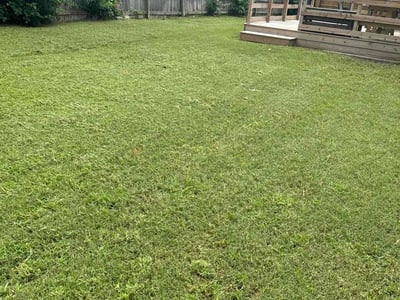 Lawn care service in Norfolk, 23518