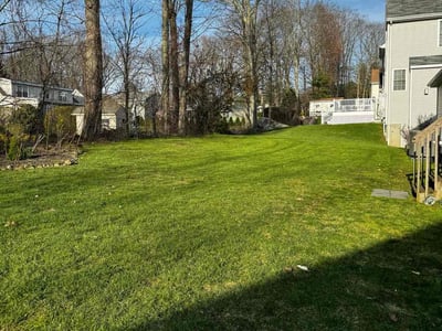 Lawn care service in Torrington, 06790