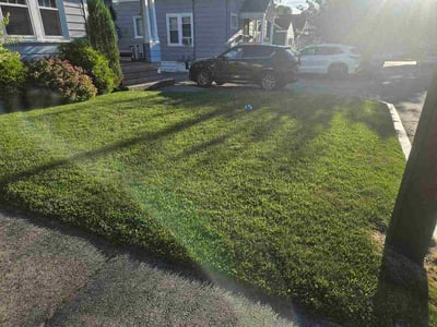 Lawn care service in Providence, 02908