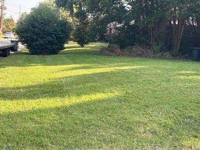 Lawn care service in Greensboro, 27405