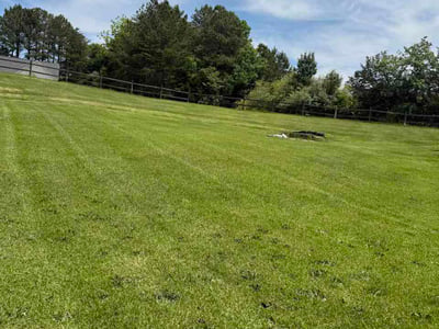 Lawn care service in Gainesville, 30506