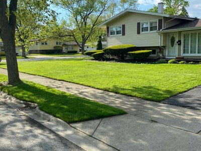Lawn care service in Lansing, 60438