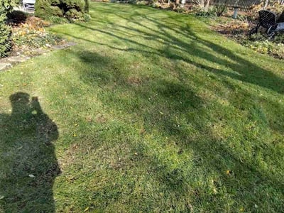 Lawn care service in Naperville, 60565